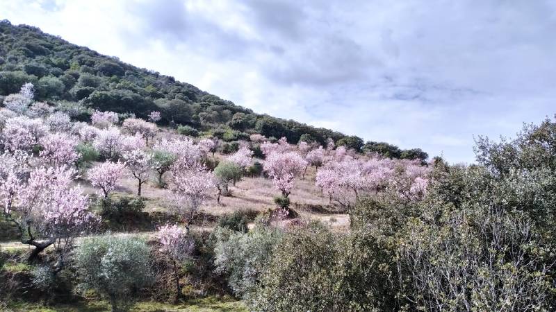 La Fregeneda, una ruta entre vías y naturaleza