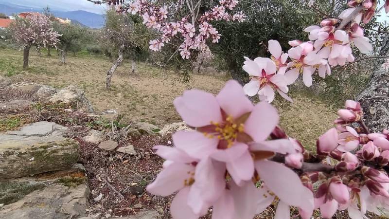 La Fregeneda, una ruta entre vías y naturaleza