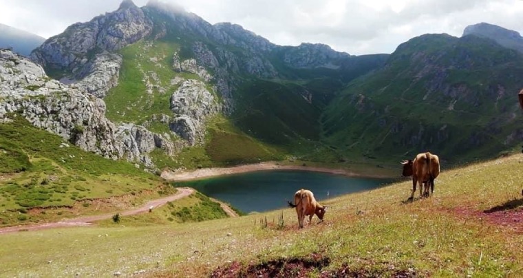 Entre montañas y lagos: Ruta por Saliencia