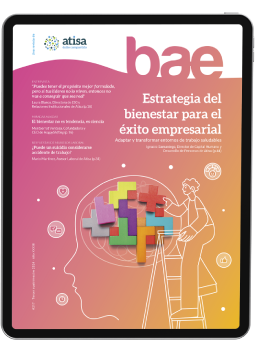 Bae 217